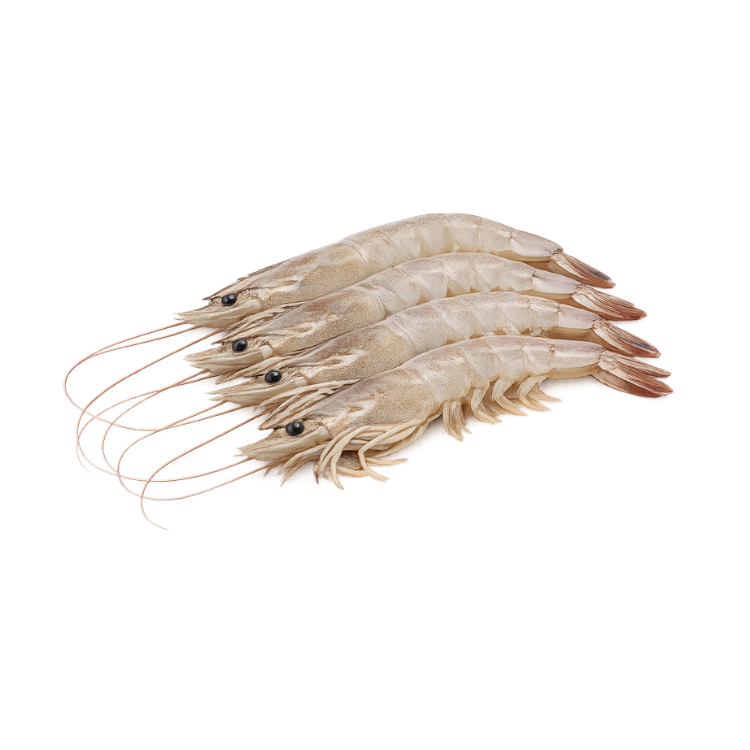 Udang Vaname
